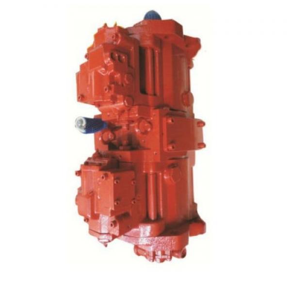 Dynapac 359144 Reman Hydraulic Final Drive Motor #1 image
