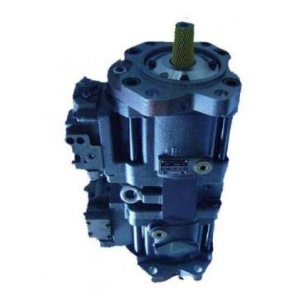 Dynapac 4700376123 Reman Hydraulic Final Drive Motor #1 image