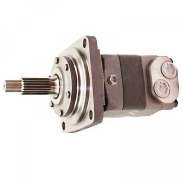 ASV 0702-335 Reman Hydraulic Final Drive Motor #1 image