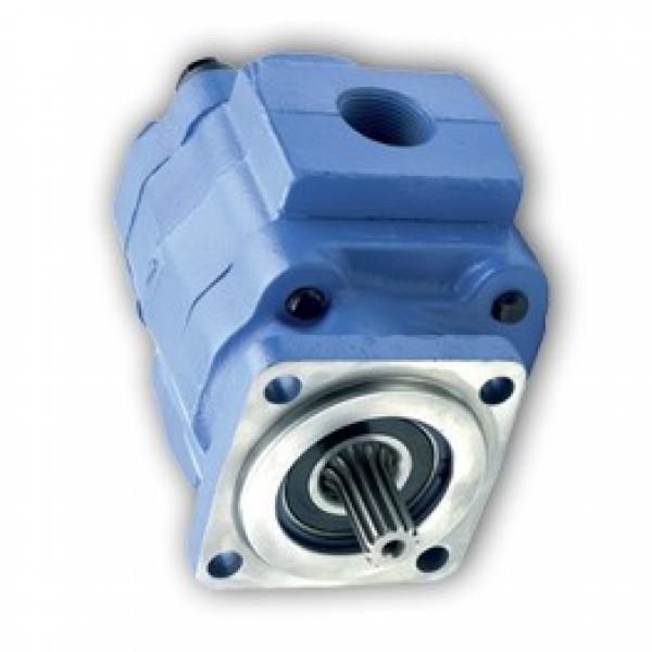 Pel Job EB24.4 Hydraulic Final Drive Motor #1 image