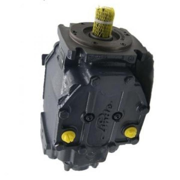 Hitachi 9243839 Hydraulic Fianla Drive Motor #1 image